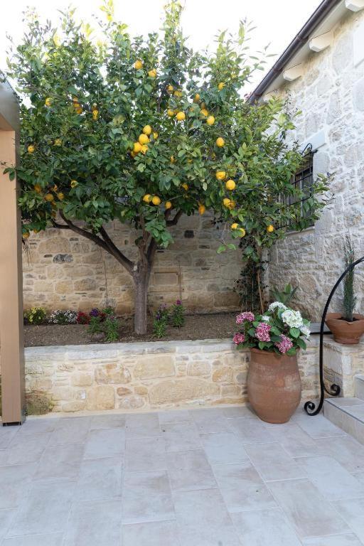 Cretan Rhapsody - Rustick Villa In Siva Sívas Exterior foto
